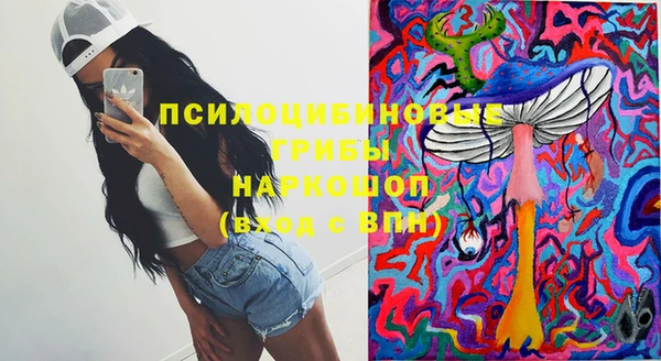 спиды Кодинск