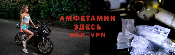 ГАЛЛЮЦИНОГЕННЫЕ ГРИБЫ Коряжма