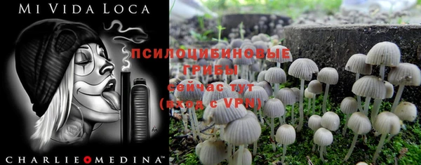 ГАЛЛЮЦИНОГЕННЫЕ ГРИБЫ Коряжма