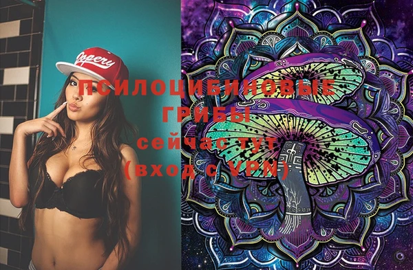 спиды Кодинск