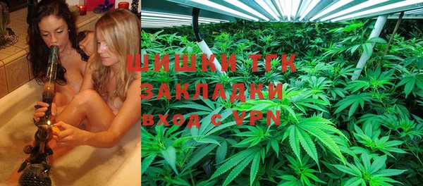 ГАЛЛЮЦИНОГЕННЫЕ ГРИБЫ Коряжма